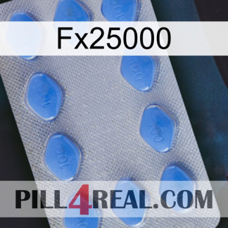 Fx25000 21